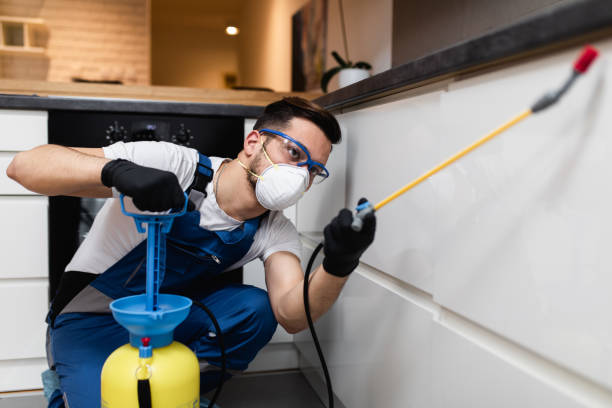 Best Affordable Pest Control Services  in Noroton Heights, CT