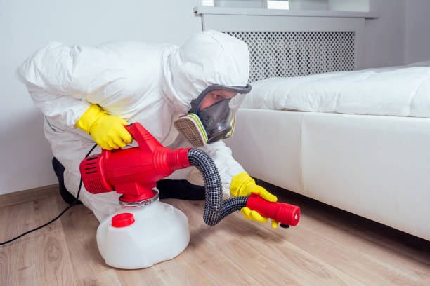 Best Pest Removal Services  in Noroton Heights, CT