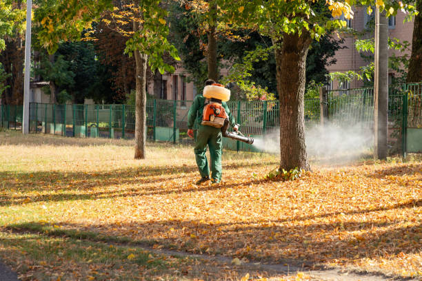 Best Affordable Pest Control Services  in Noroton Heights, CT